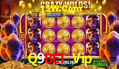Promoções Sazonais Q9Bet Vip