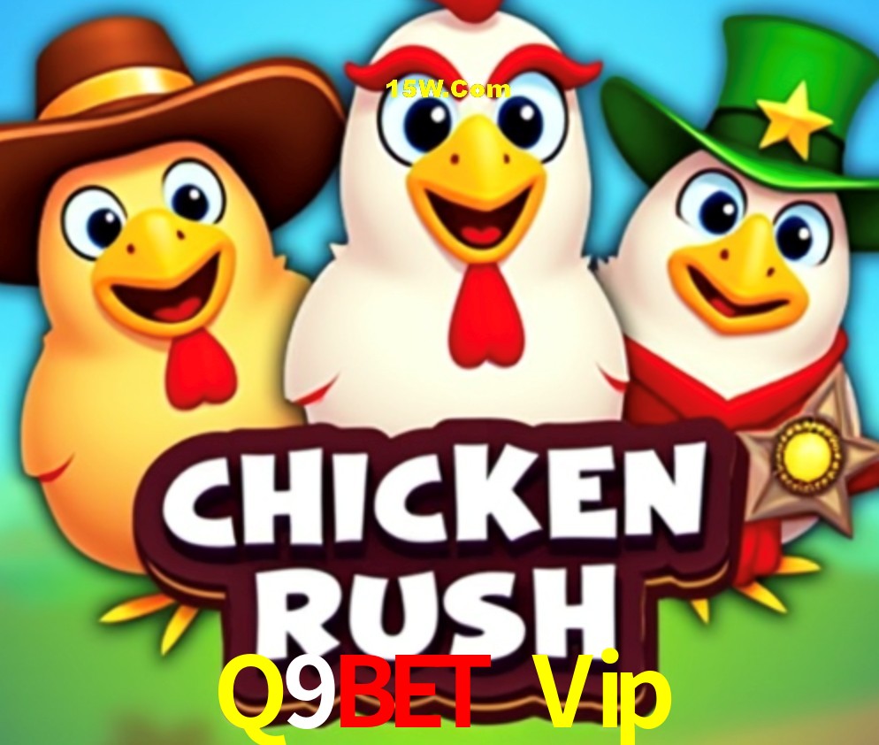 Sistemas de Segurança Q9Bet Vip